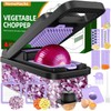 HomeHacks Vegetable Chopper Vegetable Cutter, 12 in 1 Kitchen Gadget,
