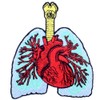 The Lungs and Heart Embroidered Badge Patch Iron or Sew