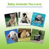 Wonder Forge Baby Animals Matching Game - Engaging Memory Booster