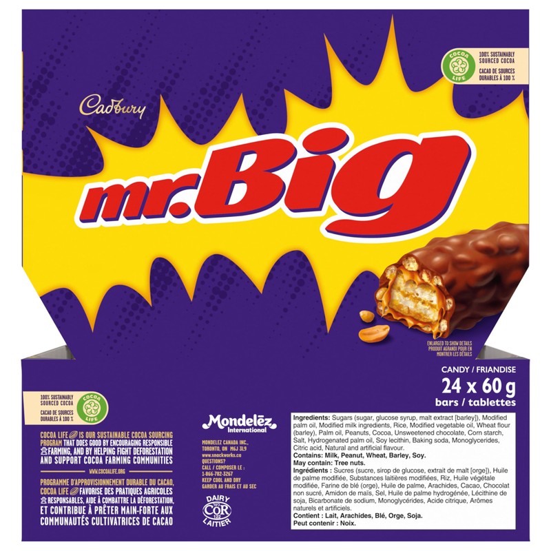 Mr. Big 24pk (60g per pack)