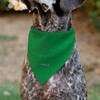 Peanuts Pet Bandana Peppermint Patty Smiling Face Pose Green Slip