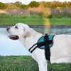 Dogline Dog Harness, Reflective No-Pull Adjustable Vest with Handle for