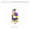 Offering Glass Dome Glass Dome Shizuki