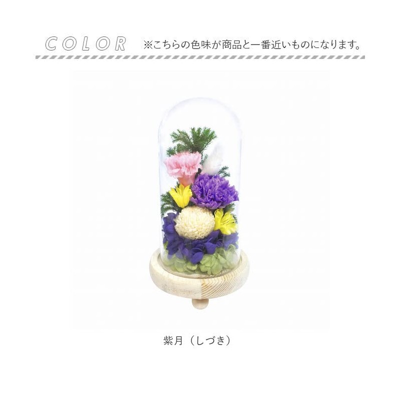 Offering Glass Dome Glass Dome Shizuki