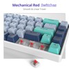 Owpkeenthy 65 Percent Mechanical Gaming Keyboard Hammerhead Shark with Red