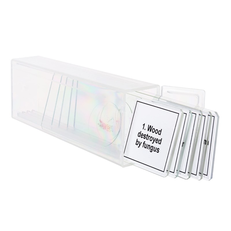 Discovery Prof Specimens DPS 5. “Mutations” – Prepared Educational Microscope