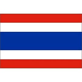 Online Stores, Inc. Thailand 6'x10' Nylon Flag