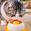 Interactive Lick Toy for Dogs & Cats – Anti-Slip Slow