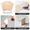 12 PCS Plywood Sheets, 200×100×2mm Wood Planks, Basswood Sheets, for