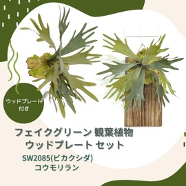 Faux Green House Plants Wood Plate Set SW2085 (Bicakfern) Bat