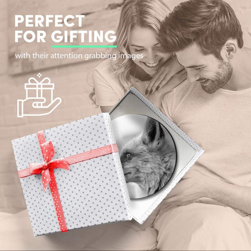 1 x Round MDF Magnet - Wildfox Nature Wildlife 38710