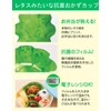 Como Life Antibacterial Lettuce Cup No. 12 Lunch Box, Colorful