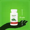 VIZANA NUTRITION | Matcha Orgánica Certificada en Cápsulas Pullulan Orgánicas