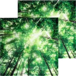 Baquler 2 Pcs Fluorescent Light Covers 2 x 2 ft Light Filters Magnetic for Ceiling Lights Classroom(Forest)