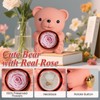 mountova Romantic Teddy Bear with Preserved Rose and Necklace, Real