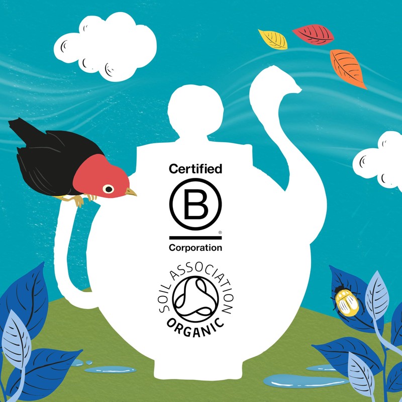 Clipper Tea, Organic Decaf, Plant-Based, Decaffeinated Black Tea, Great Over