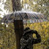 Kalkal 2 Man Tree Stand Umbrella with Heavy Duty Rod,