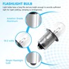 HaeKap Upgraded 19.2 Volt Flashlight/Worklight Replacement Xenon Bulbs 19v for
