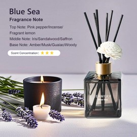 LEAMERR Reed Diffuser Set, 6.1 oz (180 ml) Blue Sea Scented Diffuser with Sticks Long-Lasting Home Fragrance Reed Diffuser for Home Room Office Bathroom Shelf Decor