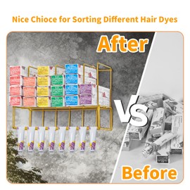 Hair Color Organizer Salon Storage Rack - 2 PCS Metal Hair Color Tube Racks for Salon Wall Mounted Hair Color Organizers for Salon Decoration