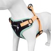 Jack & Bully Dog Harness, No Pull Vest Step-in Adjustable