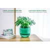 Melphoe 2 Pack Self Watering Hanging Planters Indoor Flower Pots,