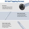 Pan Head Metal RV Screws Black #8 X 1/2" for