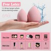 Makeup Sponge Set BS-MALL Blender Sponges 7 Pcs for Liquid,