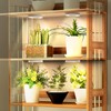 Mosthink Ceiling Grow Lights for Indoor Plants, 96 LEDs Plant
