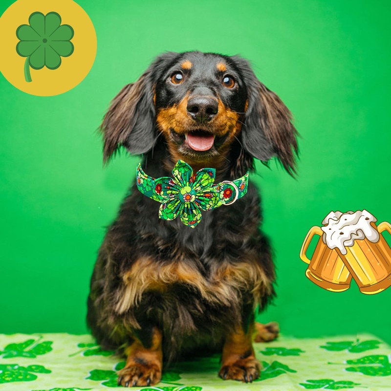 Lionheart glory St. Patrick's Day Dog Collar with Flower-Lucky Clover
