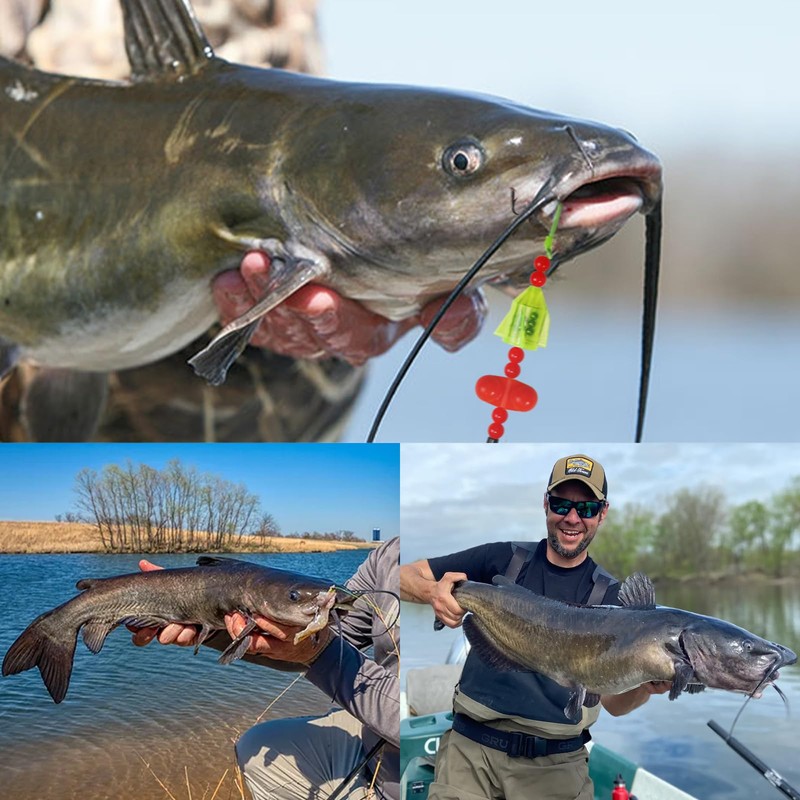CWSDXM Catfish Float Rigs,Catfish Hooks,Circle Hooks for Catfish with Peg
