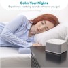 Big Red Rooster Sleep Sound Machine - White Noise Device