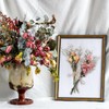 WGXX 12/24 Pack Dried Flowers for Vase Various Mini Bouquet