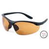 Calabria Rhino R91348 Bifocal Reading Safety Glasses Reader +3.00 Copper