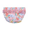 Big Softies Fruit Swim Nappy, Small/Medium