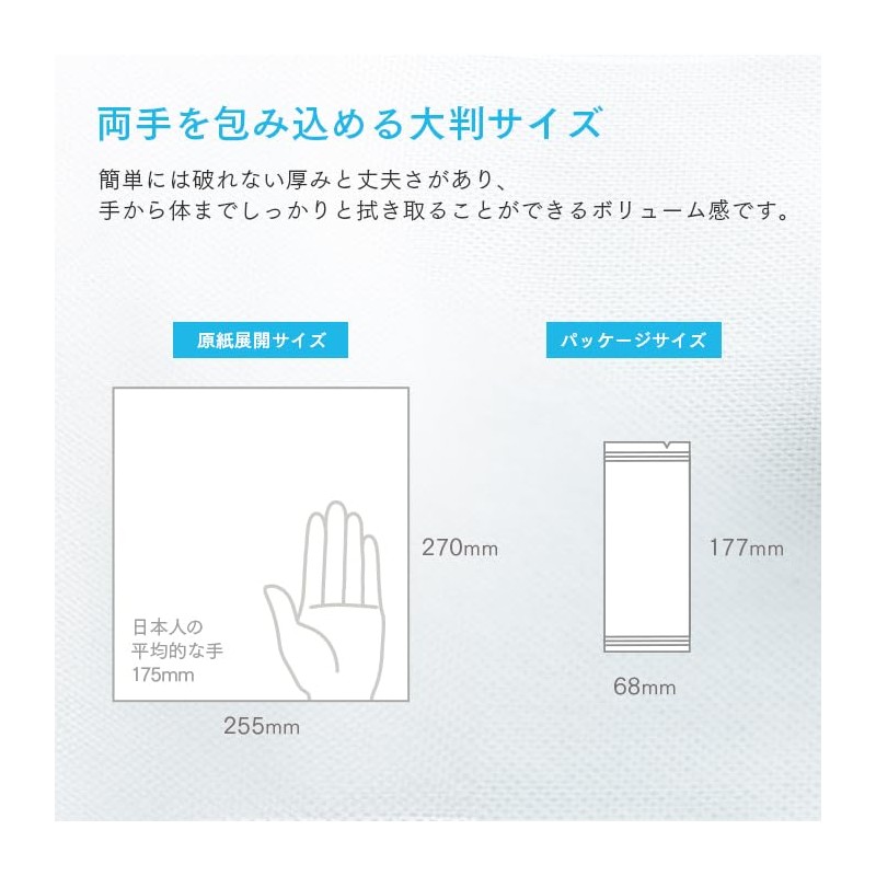 VB-COSME- FSX Disposable Paper Towels, Aroma Premium Peppermint 100 Count