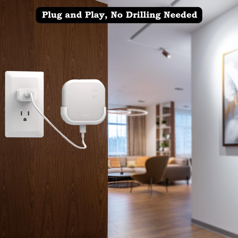 Adhesive Wall Mount for Blink Sync Module XR, Two Ways