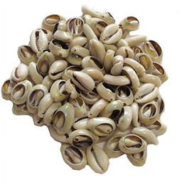 100 Pcs Lvory Natural Cowrie Shells Beads Oval Beach Seashells African Shells for Hair Jewelry Making sea for Crafting,DIY Craft Beads and Jewelry Making, Bead Assortments, Decorations