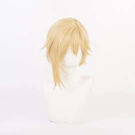 Eileen Ensemble Stars Hinata Nagisa Wig, Heat Resistant Cosplay Wig, Anime Wig, For Disguises, Culture Festival, [Includes Dedicated Net]