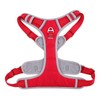 Paawpal Adjustable Dog Harness - No Pull, Reflective, Soft Padded
