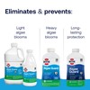 HTH 67084 Pool Care Algae Guard Advanced, All Algae Eliminator