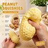 Peanut Squishy Stress Ball for Sensory Play – Soft Crunchy