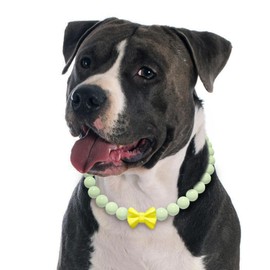 JOGIA Glow in the Dark Dog Collar – Handmade Beaded Dog Necklace with Bow Tie, Adjustable for Small Medium Large Dogs – Soft Glow for Night Walks
