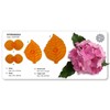 JEM Hydrangea Fondant Cutters, for Cake Decorating, Set of 4