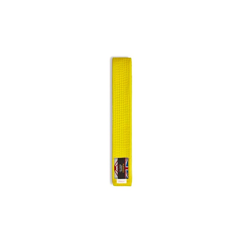 Playwell Martial Arts Plain Cotton Karate Judo Taekwondo Belt, yellow