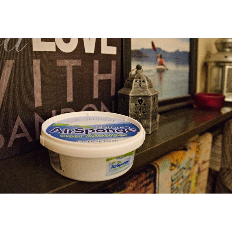 Nature's Air Sponge Odor Absorber Unscented Plastic Tub 1/2 Lb.