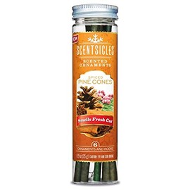 Scentsicles Premier Pack of 6 Spiced Pine Cone