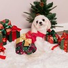 Fitwarm Merry Woofmas 100% Cotton Dog Christmas Outfits Girl Dog