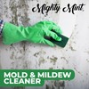 Mighty Mint Mold & Mildew Stain Remover Spray, Rapid Clean