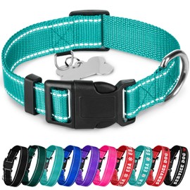 TECEUM Reflective Pet Collar – Teal – XXS – Basic Nylon Dog Collar – Quick Release Buckle – Fits Small, Medium and Large Dogs, Puppies, Cats – ESA & Service Dog Options